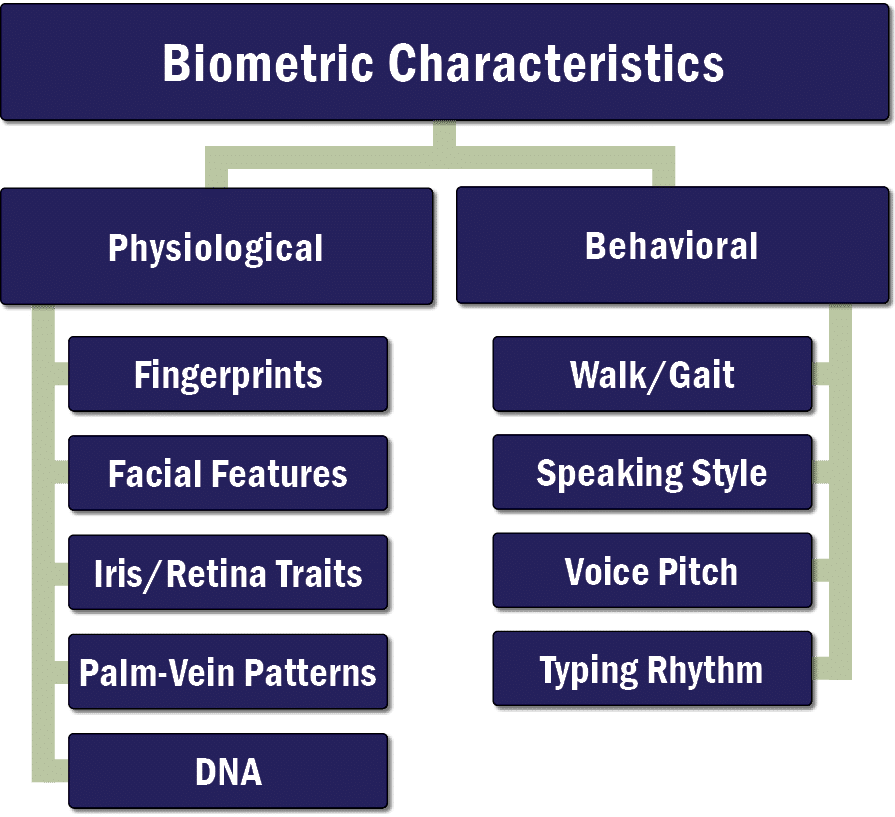 Biometrics Boost Identity Assurance Burns Engineering