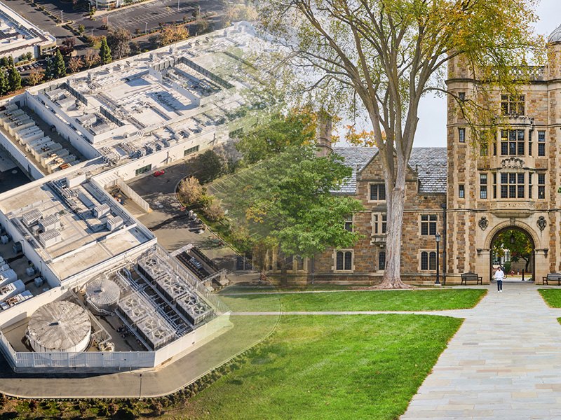 Navigating a New World Order: Understanding the Current Reality of Procuring Equipment for Higher Education Projects